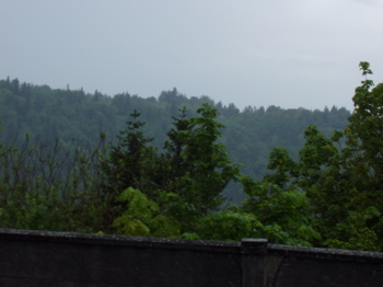 P5160026.JPG